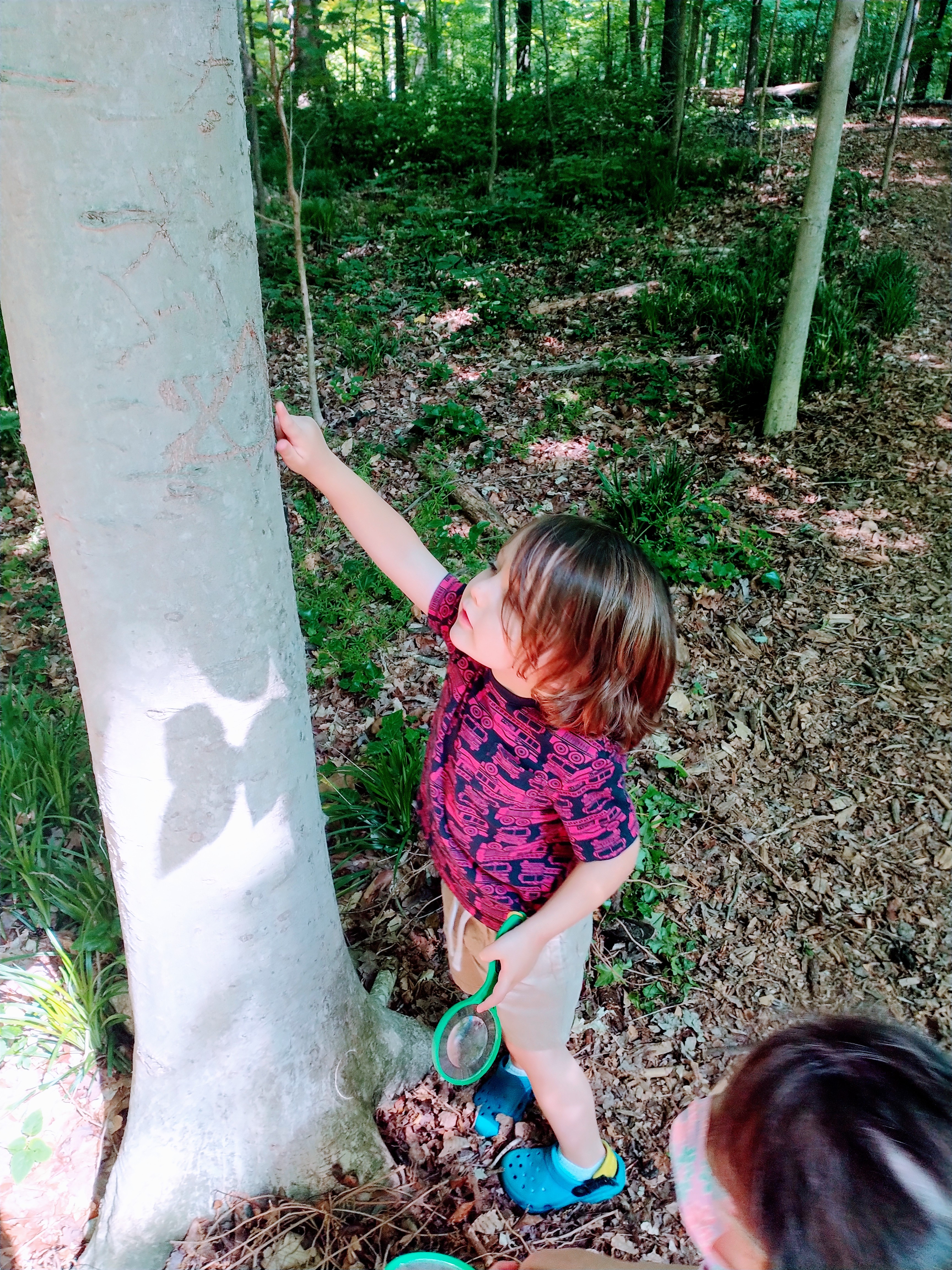 One of Frazer Center's young Citizen Scientists participating in the 2022 City Nature Challenge.