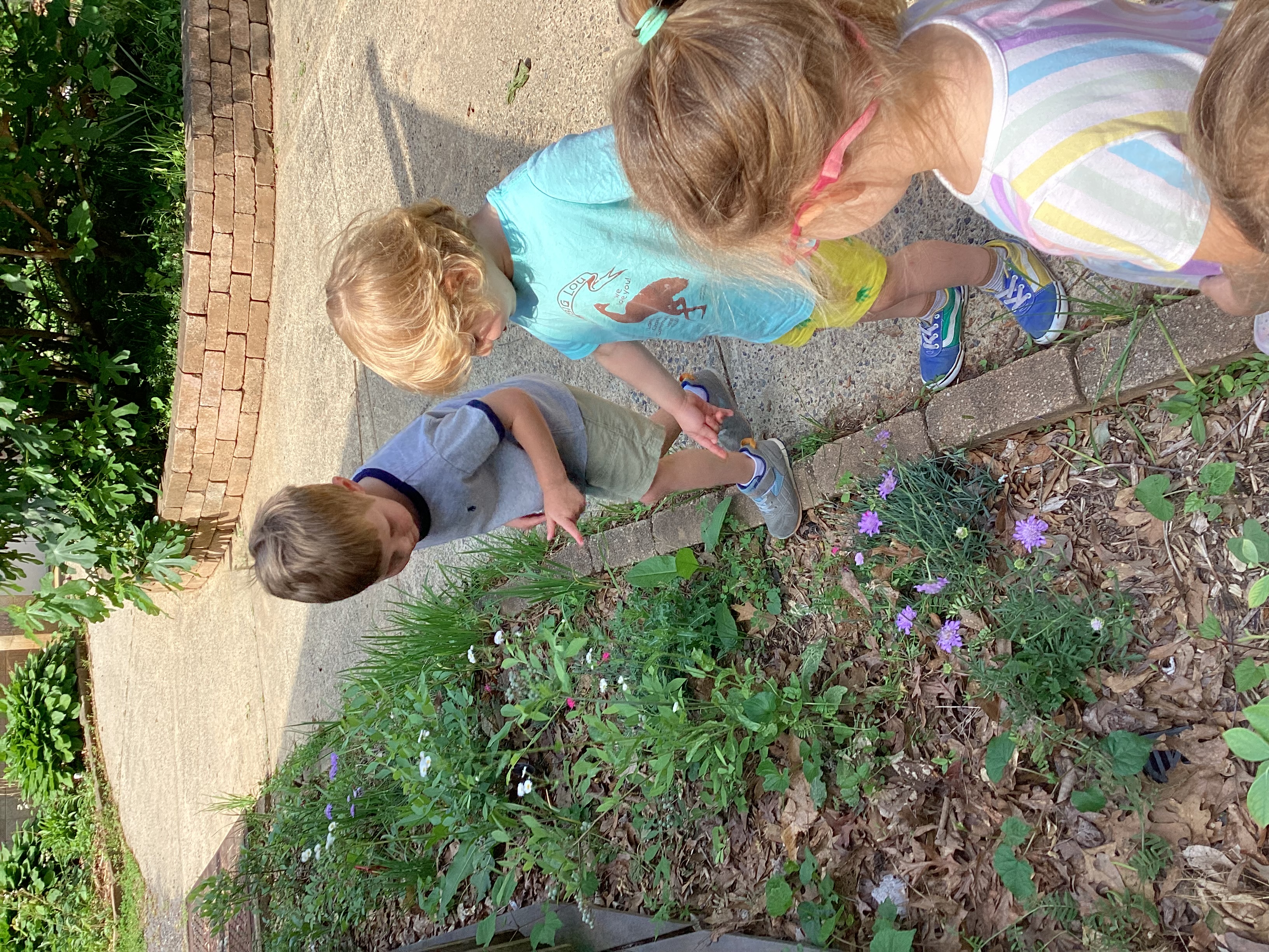 Frazer’s Little Citizen Scientists!