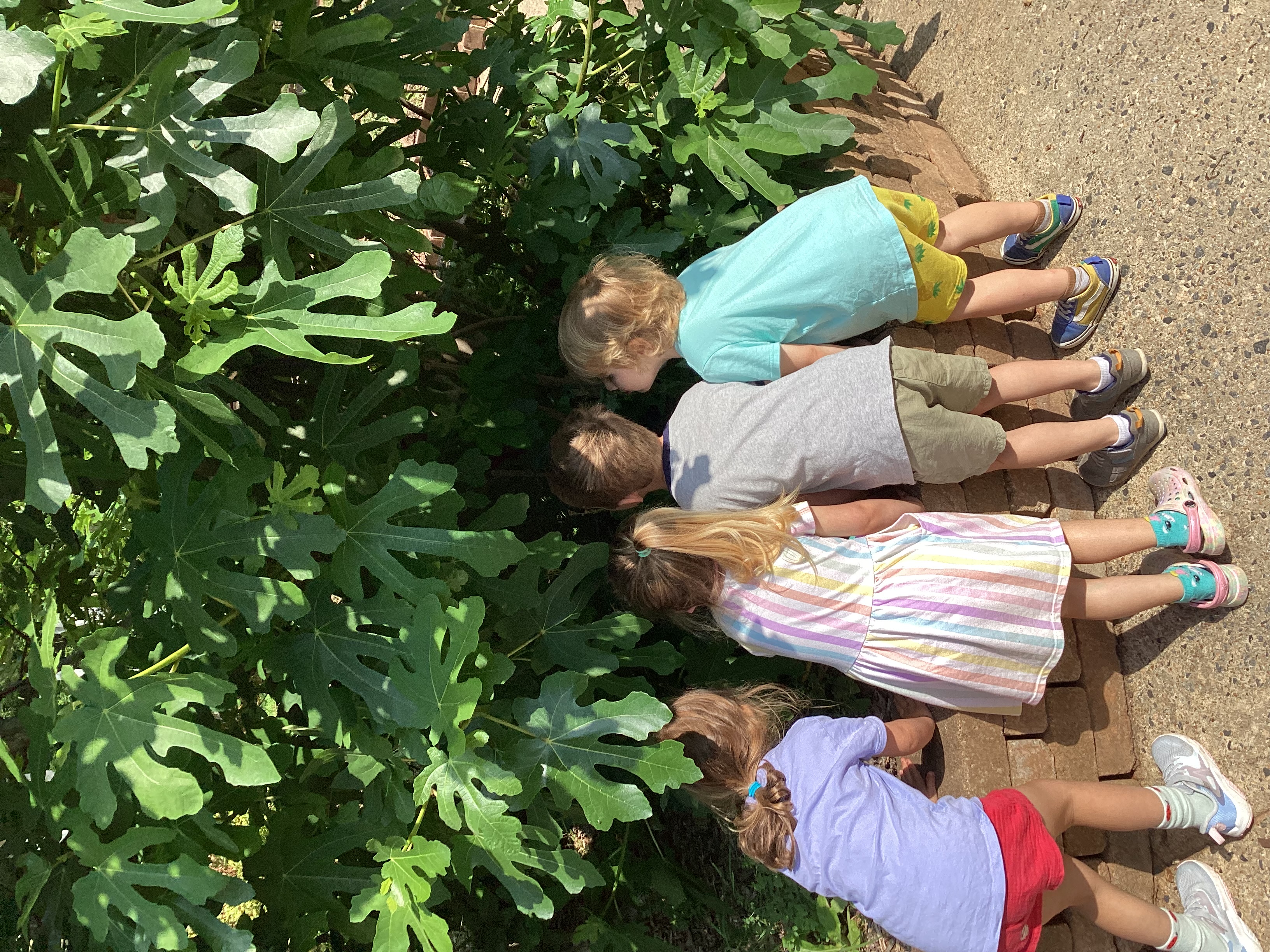 Frazer’s Little Citizen Scientists!