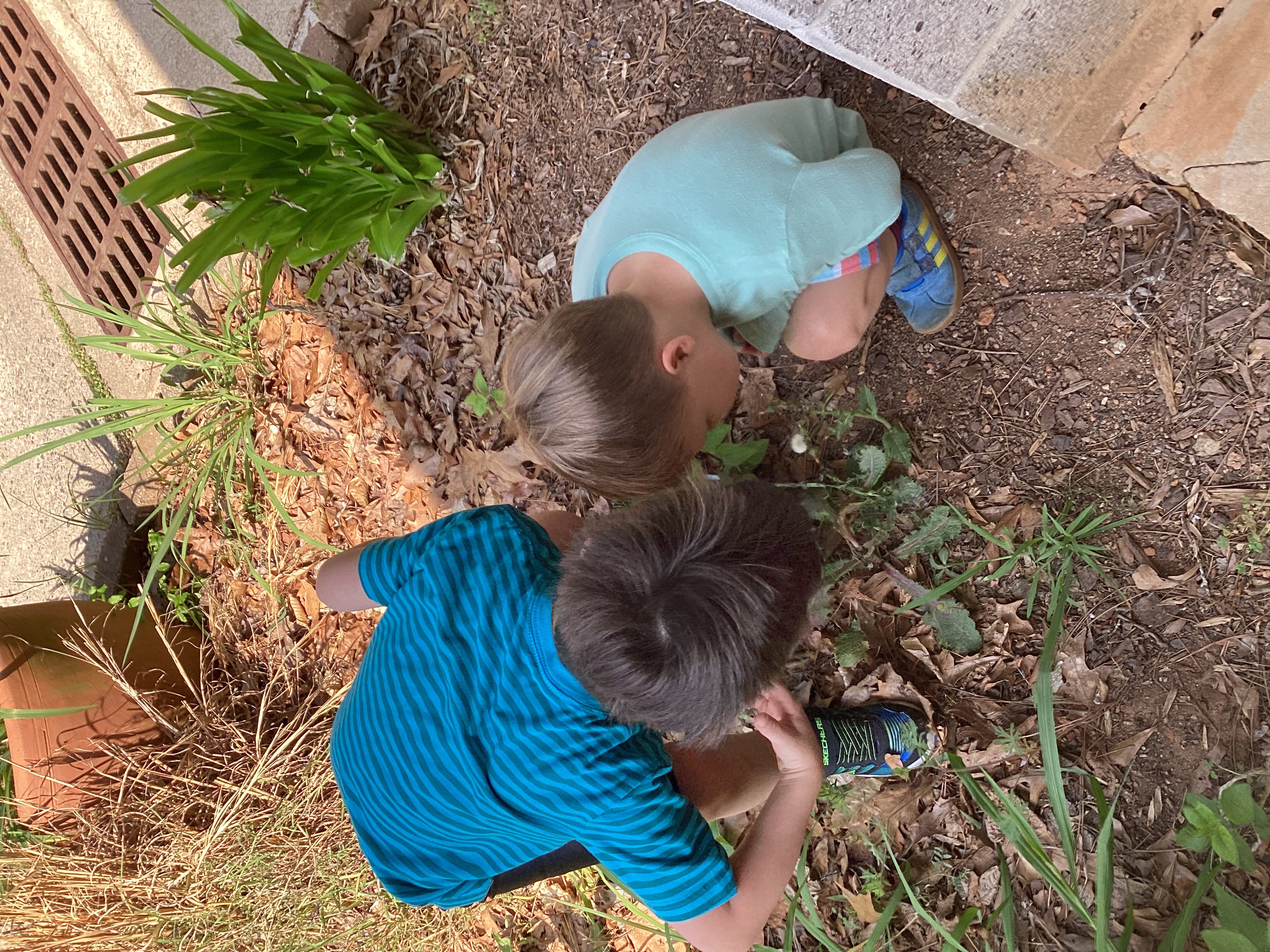 Frazer’s Little Citizen Scientists!