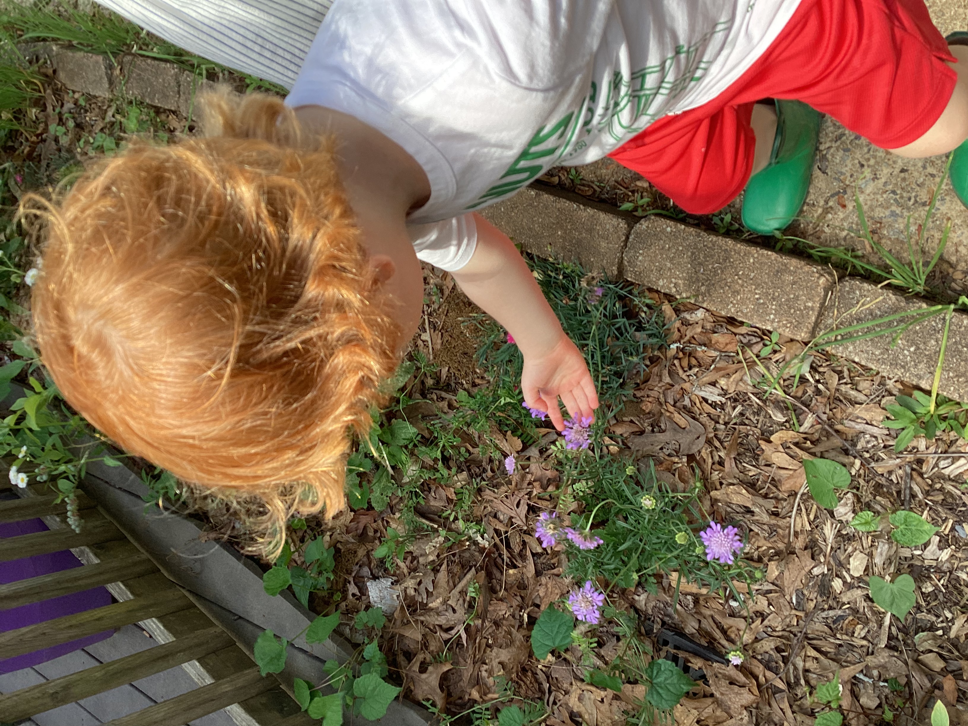Frazer’s Little Citizen Scientists!