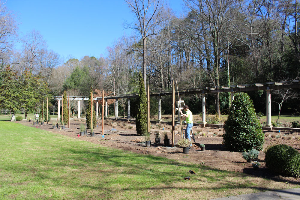 Redesigning Cator Woolford Gardens