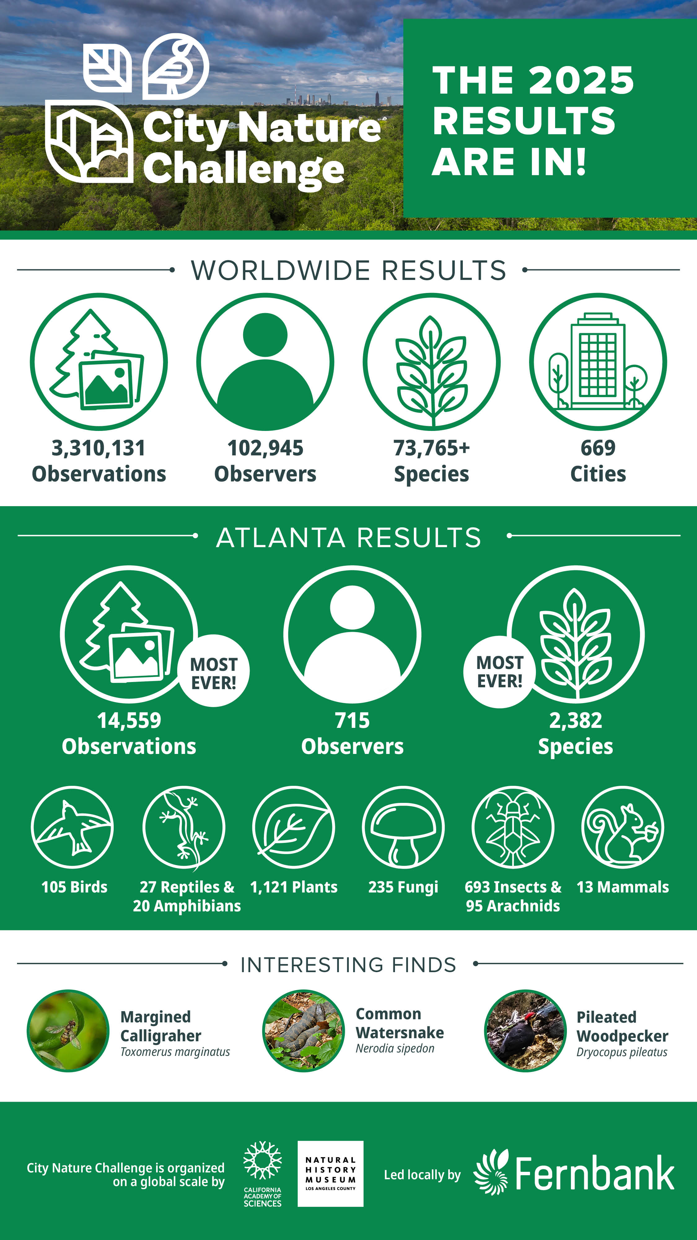 Results of 2025 City Nature Challenge