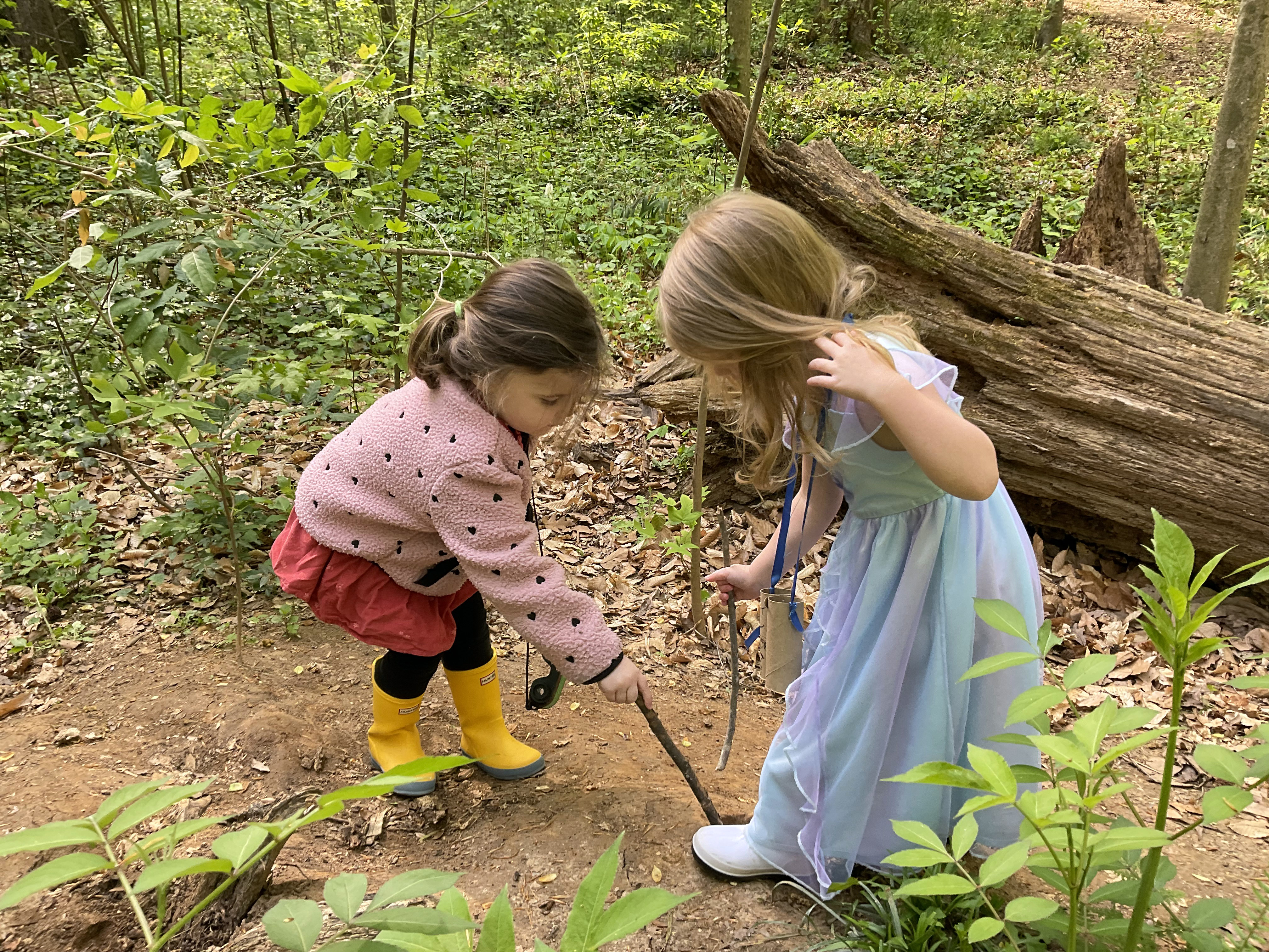 Who lives in that hole?