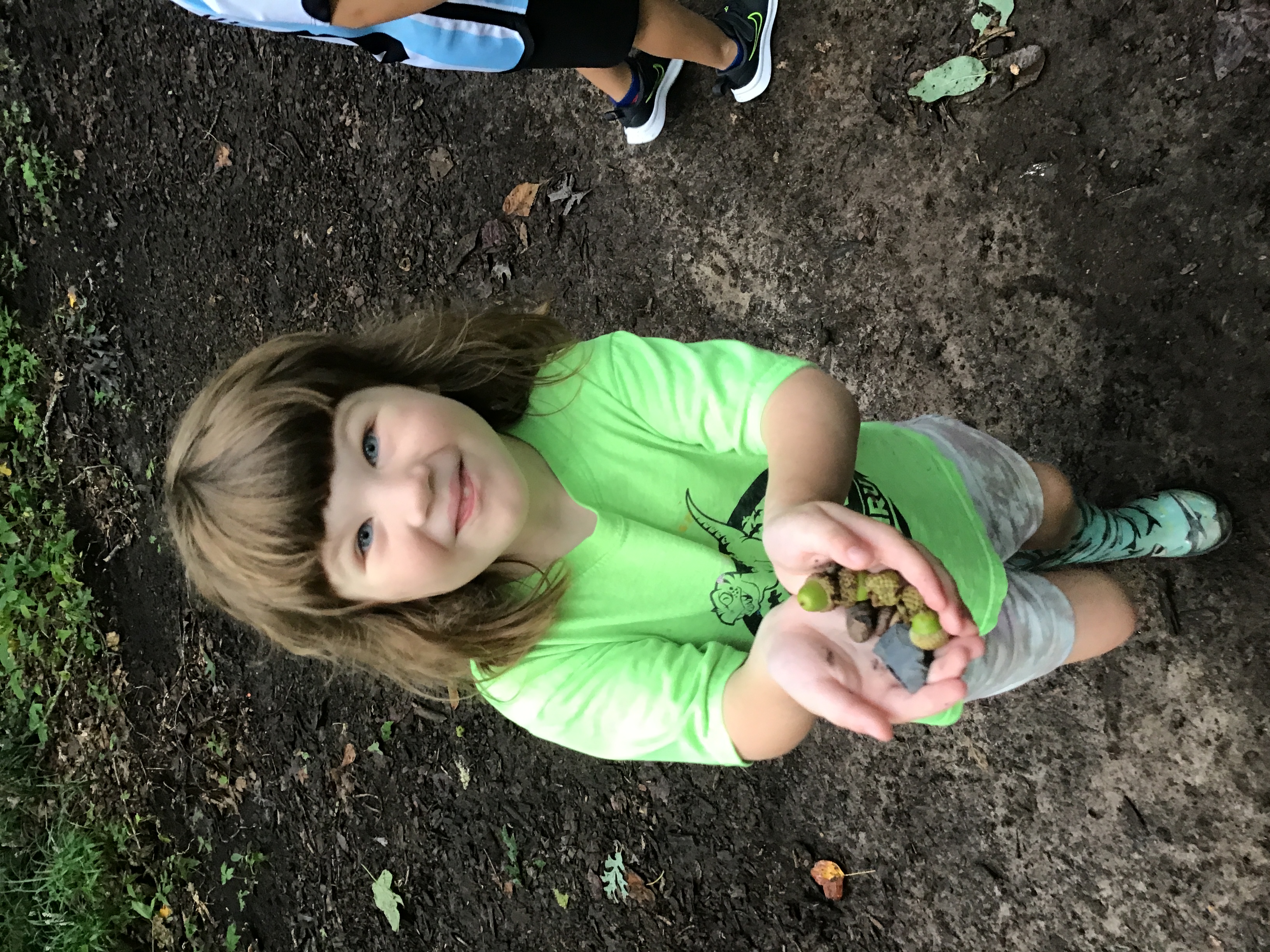 Acorns!